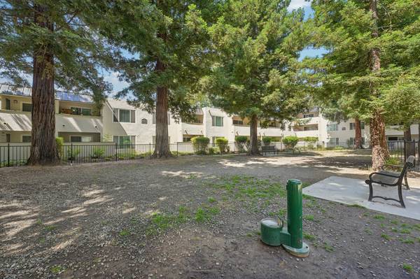 Apartments on Paseo Padre Pkwy · Union City photo 2
