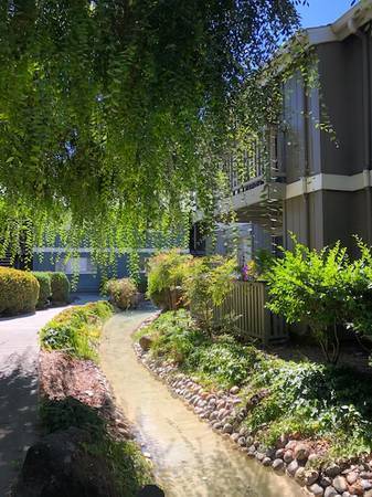 Apartments on Keystone Avenue · San Jose photo 5