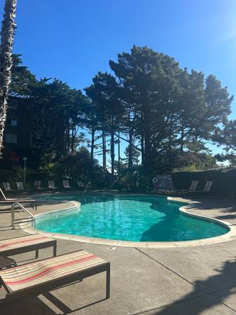 1BR/1BA Condo · San Francisco photo 2