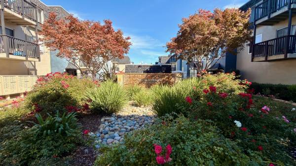Apartments on Old County Road · Belmont photo 2