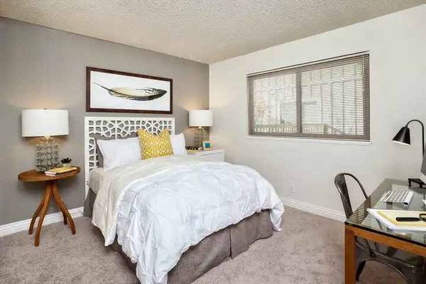 The Shadows Apartments photo 4