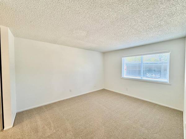 1BR/1BA Apartment · San Francisco photo 3
