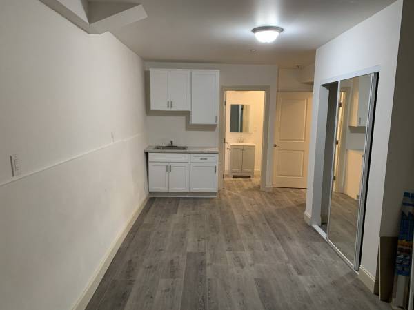 1BR/1BA Apartment · Brooklyn photo 4