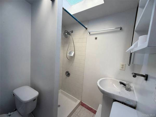 1BR/1BA Apartment · Brooklyn photo 5