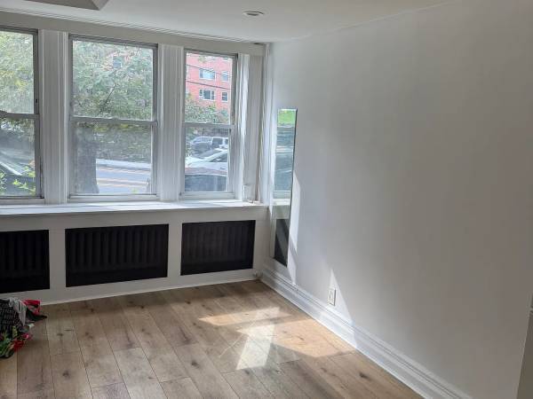 1BR/1BA Apartment on E 81st St · Brooklyn photo 2