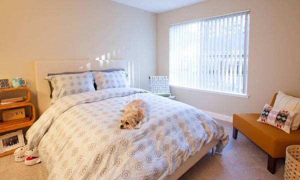 Apartments on Pepper Tree Ln · Santa Clara photo 2