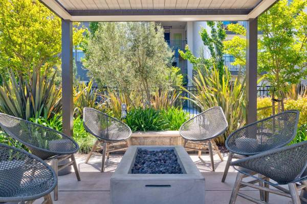 Apartments on Carlson Avenue · Rohnert Park photo 5