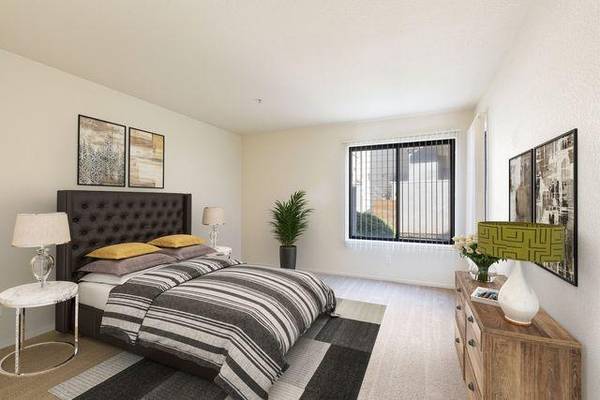Lakeshore Apartments photo 5