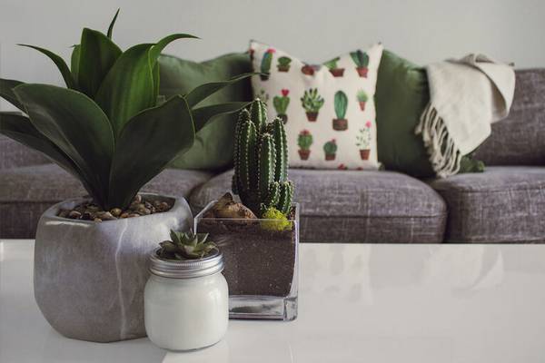 Apartments on Andersen Drive · San Rafael photo 3