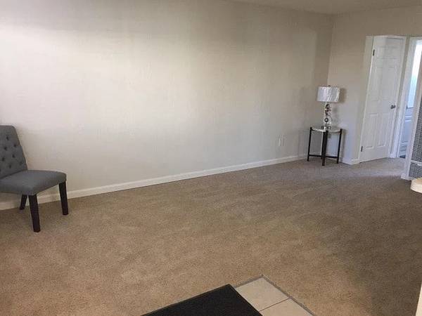 1BR/1BA Apartment on Latham Street · Mountain View photo 4