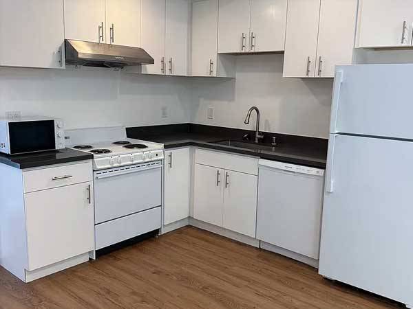 1BR/1BA Apartment on Pierce St · San Francisco photo 2