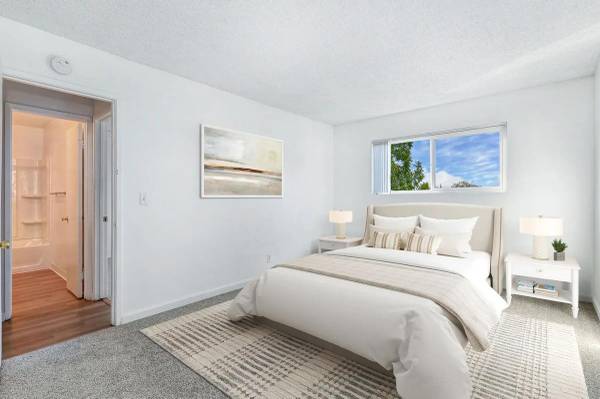 Apartments on Monterey Rd · Coyote photo 3