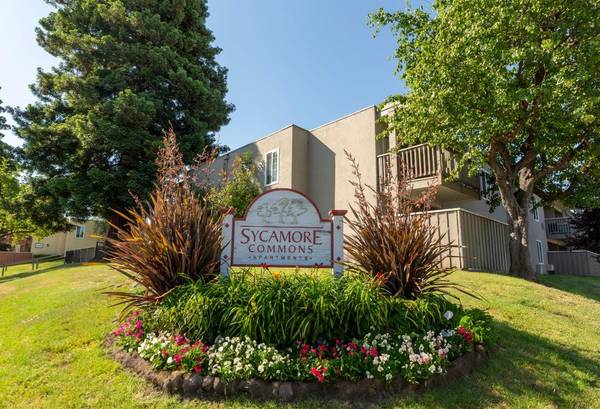 Apartments on Paseo Padre Pkwy · Fremont photo 5