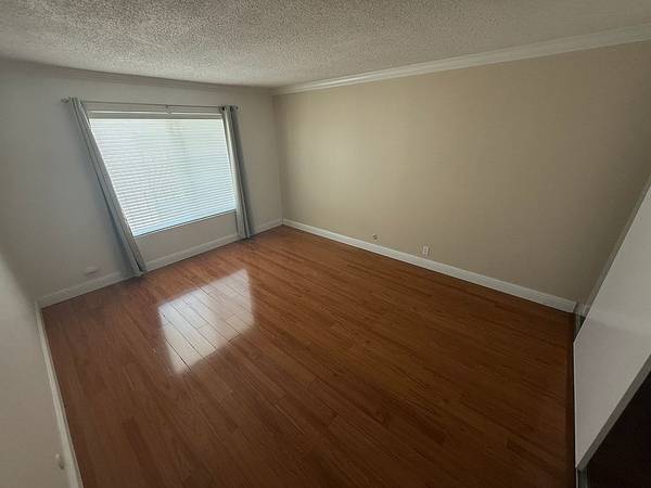 216 Wayne Ave photo 4