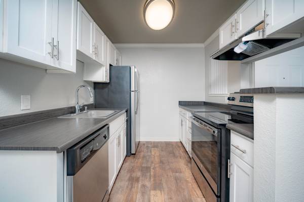 Plum Tree Apartment Homes photo 2