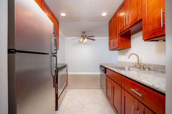 Regency Plaza Apartment Homes photo 2