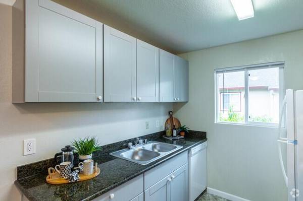 Walnut Apartments photo 2