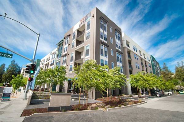 Cadence Apartments photo 2