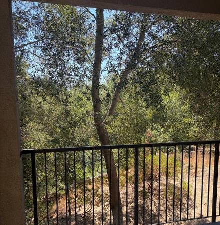 Apartments on Park Place · San Ramon photo 3