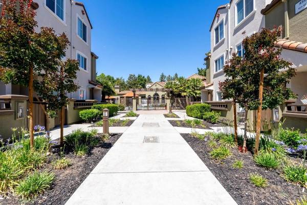Apartments on Saratoga Ave · San Jose photo 3