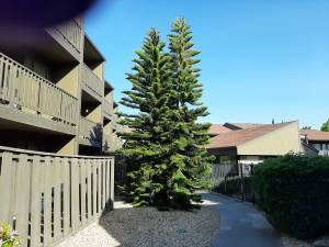Franciscan Apartments photo 5