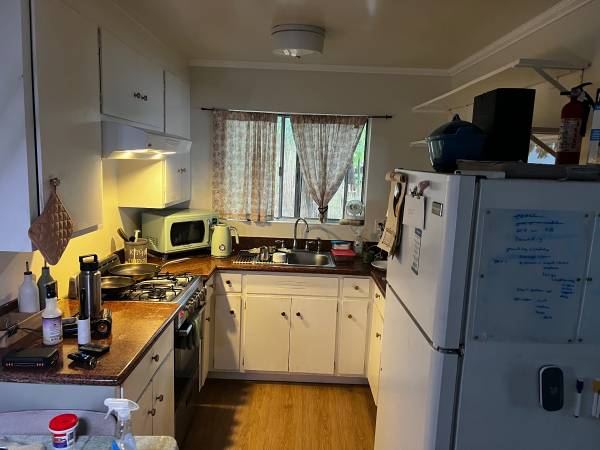 1BR/1BA Apartment · Berkeley photo 4