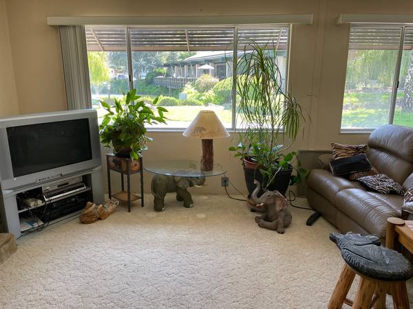 Convienant, safe location. Share home with one other person  photo 5