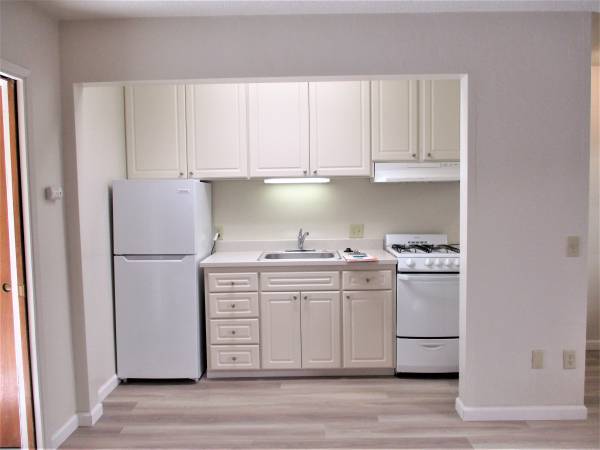 1BR/1BA Apartment on Felix · Santa Cruz photo 5