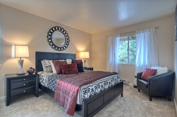 1BR/1BA Apartment on Haley Streeet · Newark photo 5