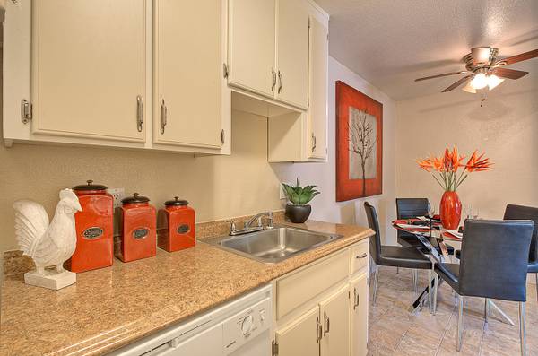 1BR/1BA Apartment on Haley Streeet · Newark photo 3