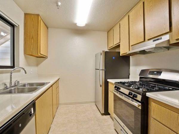 Lakeshore Apartments photo 5