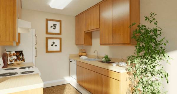 Lime Ridge photo 4
