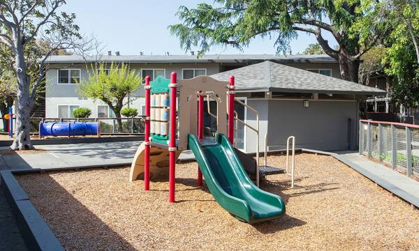 Park Orchard photo 3