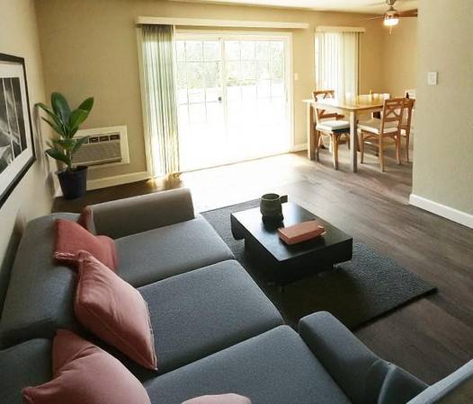Apartments on Ellis Street · Concord photo 5