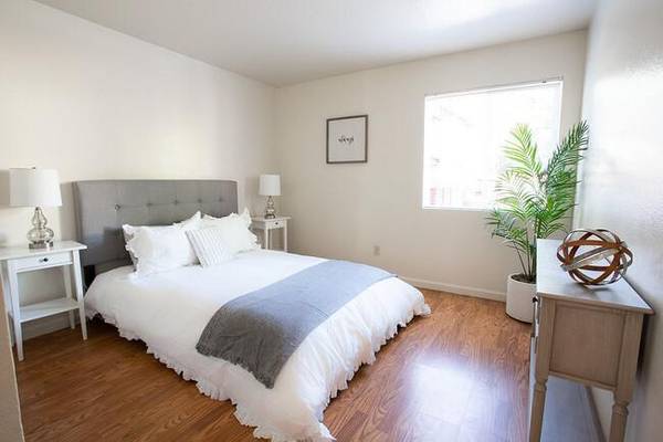 Walnut Apartments photo 5