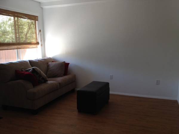 1BR/1BA Apartment on Middlefield · Boyes Hot Springs photo 3