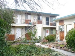 1BR/1BA Apartment on Middlefield · Boyes Hot Springs photo 2