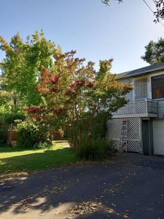 2BR/1BA In Law Adu · Sebastopol photo 2