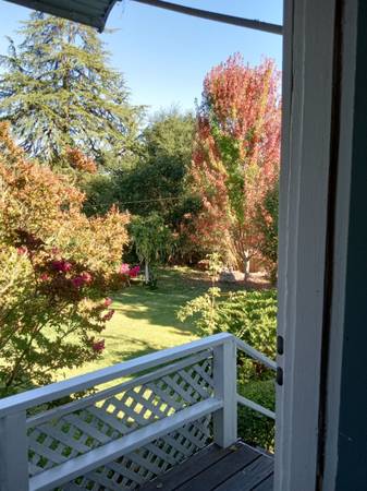 2BR/1BA In Law Adu · Sebastopol photo 3