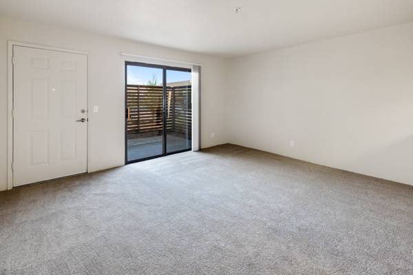 1BR/1BA Apartment · Rohnert Park photo 4
