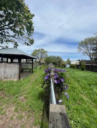 0BR/1BA In Law Adu · Santa Rosa photo 3