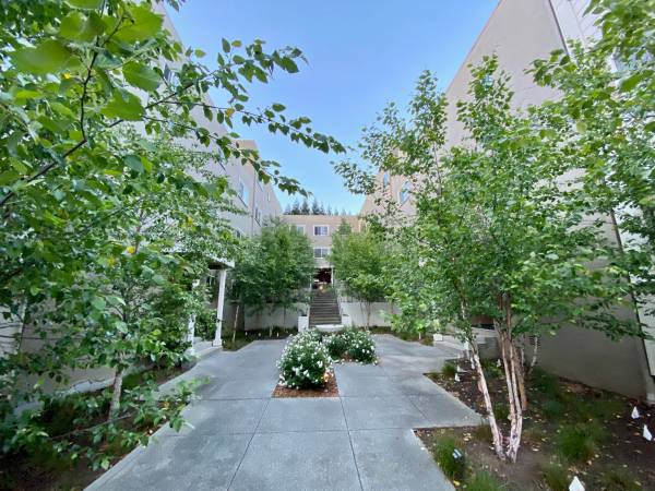 Apartments on Sir Francis Drake Blvd · Ross