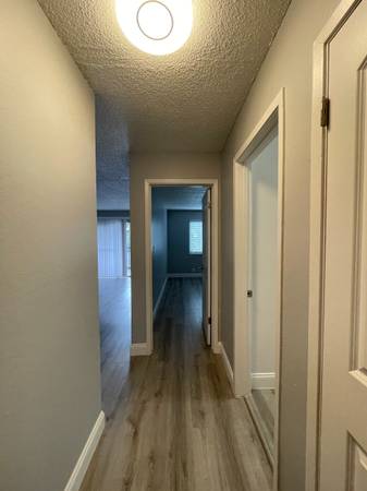 1BR/1BA Apartment on O'Neil Ave · Hayward photo 4
