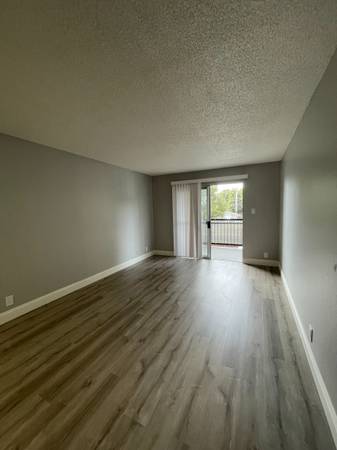 1BR/1BA Apartment on O'Neil Ave · Hayward photo 3
