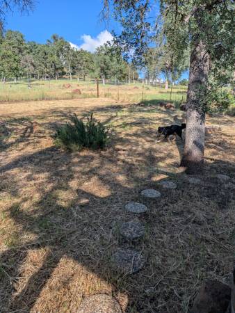 3BR/2BA House · Hidden Valley Lake photo 2