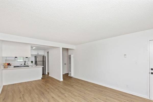 1BR/1BA Apartment · San Jose photo 2