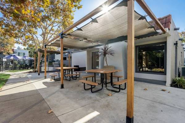 1BR/1BA Apartment · San Jose photo 2