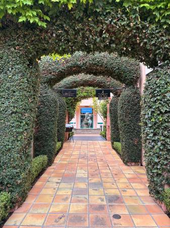 1BR/1BA Apartment on E Napa St · Vineburg photo 4