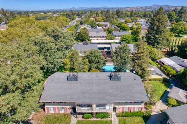 1BR/1BA Apartment · Santa Rosa photo 5