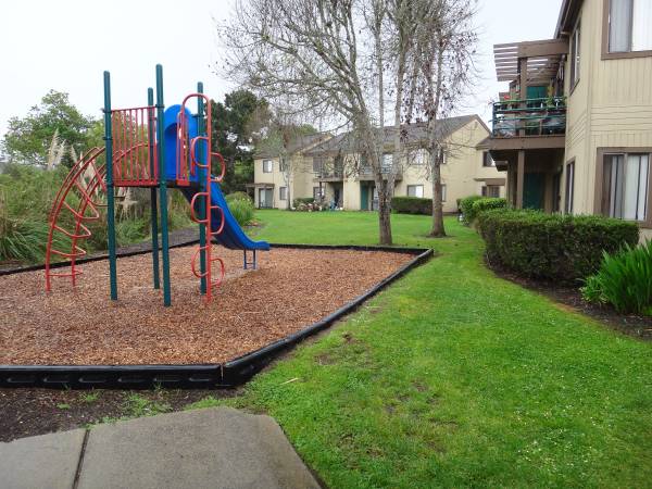 1BR/1BA Apartment on Aptos Beach Drive · Aptos photo 3